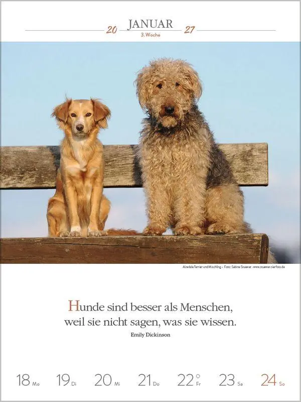 Bild: 9783819301223 | Literaturkalender Hunde 2027 | Korsch Verlag | Kalender | 54 S. | 2027