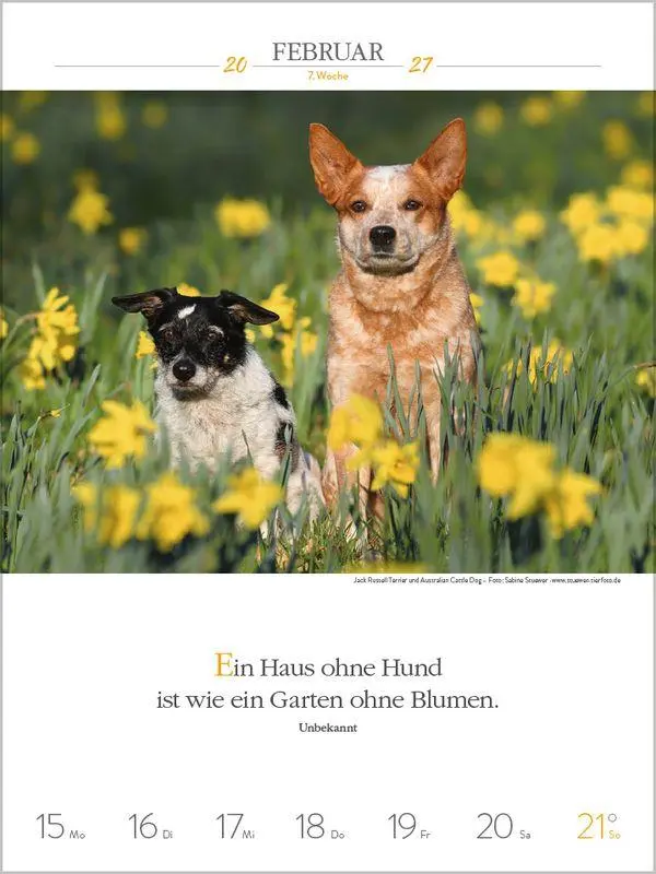 Bild: 9783819301223 | Literaturkalender Hunde 2027 | Korsch Verlag | Kalender | 54 S. | 2027