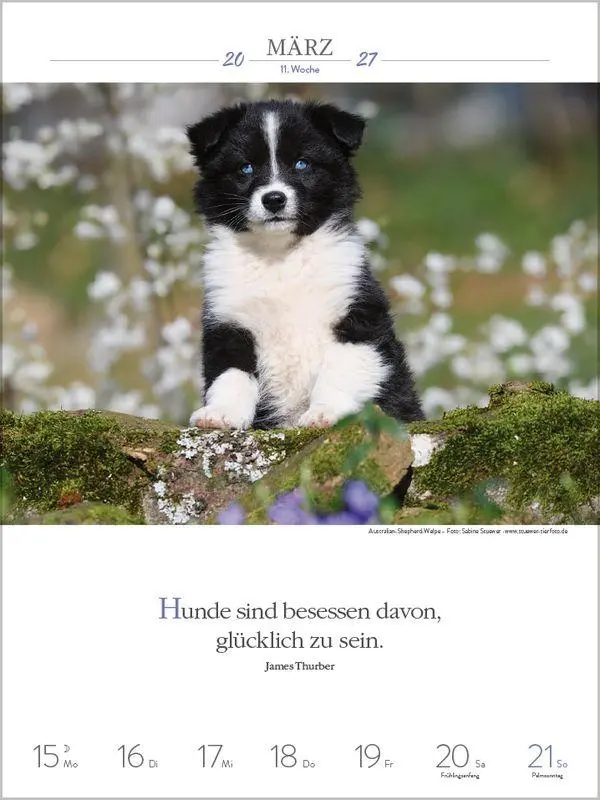Bild: 9783819301223 | Literaturkalender Hunde 2027 | Korsch Verlag | Kalender | 54 S. | 2027