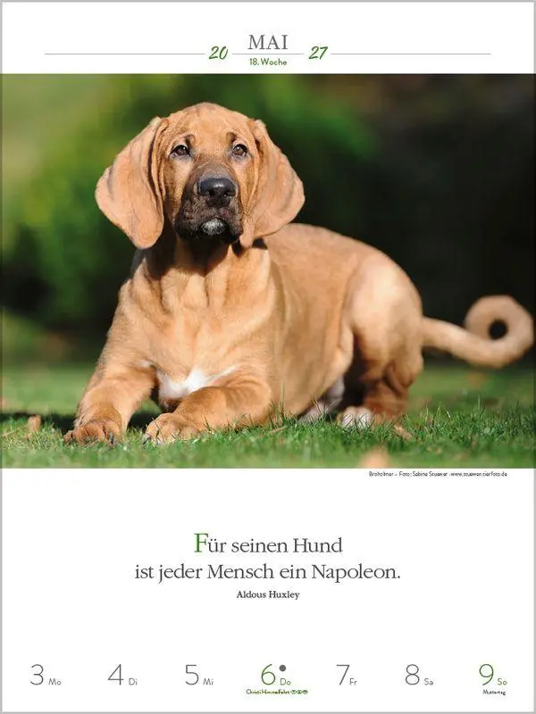 Bild: 9783819301223 | Literaturkalender Hunde 2027 | Korsch Verlag | Kalender | 54 S. | 2027