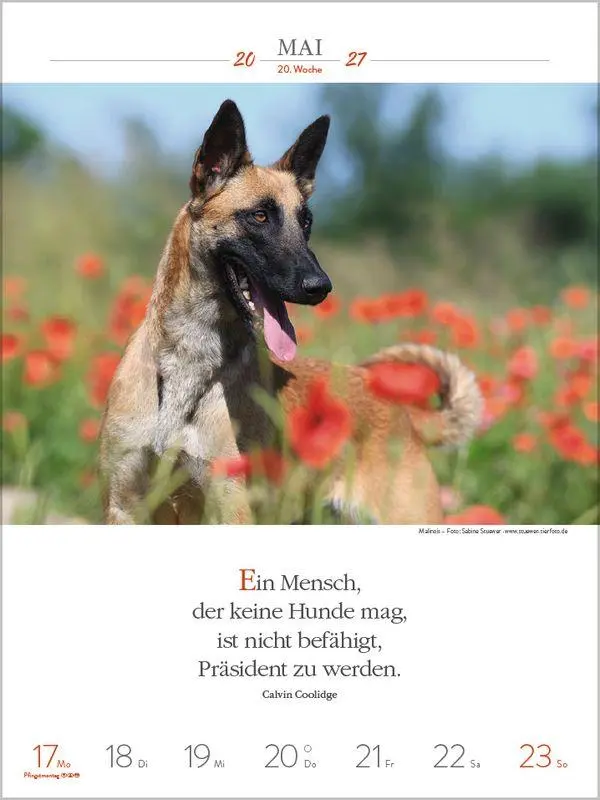 Bild: 9783819301223 | Literaturkalender Hunde 2027 | Korsch Verlag | Kalender | 54 S. | 2027
