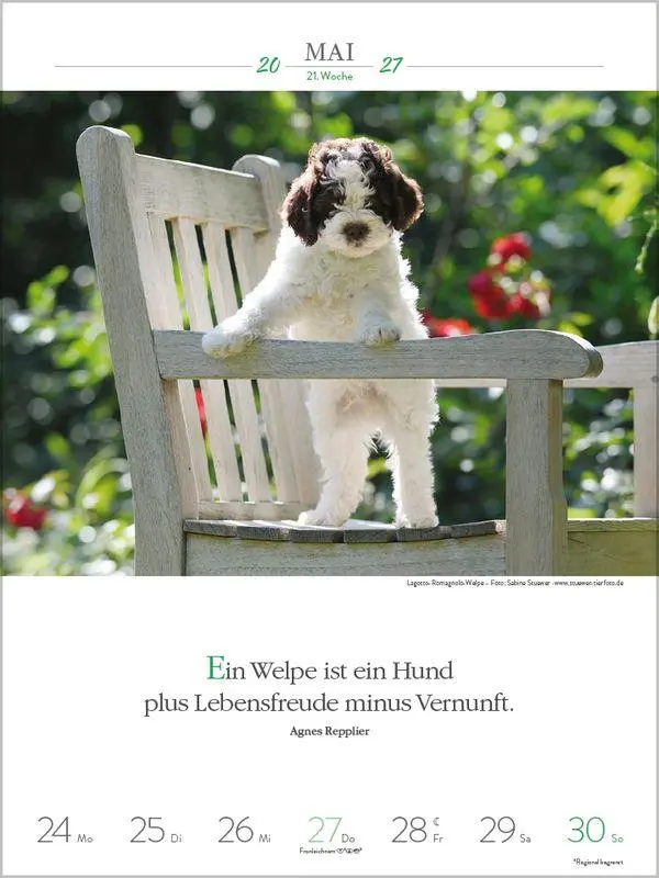 Bild: 9783819301223 | Literaturkalender Hunde 2027 | Korsch Verlag | Kalender | 54 S. | 2027