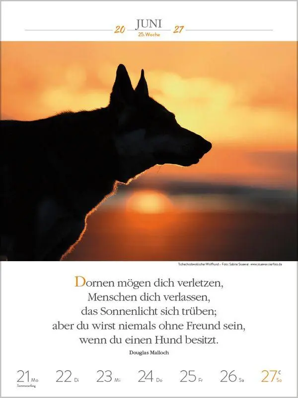Bild: 9783819301223 | Literaturkalender Hunde 2027 | Korsch Verlag | Kalender | 54 S. | 2027
