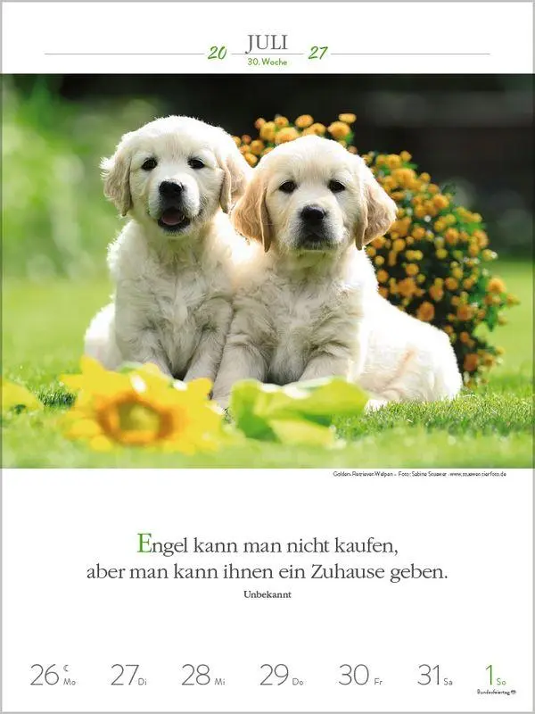 Bild: 9783819301223 | Literaturkalender Hunde 2027 | Korsch Verlag | Kalender | 54 S. | 2027