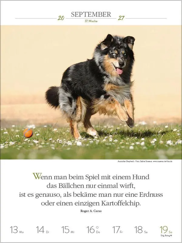 Bild: 9783819301223 | Literaturkalender Hunde 2027 | Korsch Verlag | Kalender | 54 S. | 2027