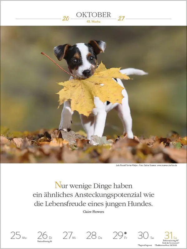 Bild: 9783819301223 | Literaturkalender Hunde 2027 | Korsch Verlag | Kalender | 54 S. | 2027