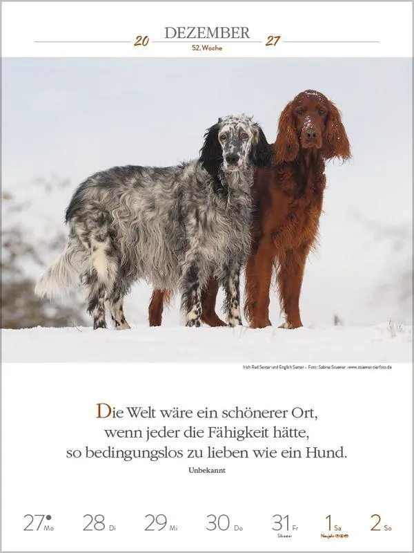 Bild: 9783819301223 | Literaturkalender Hunde 2027 | Korsch Verlag | Kalender | 54 S. | 2027