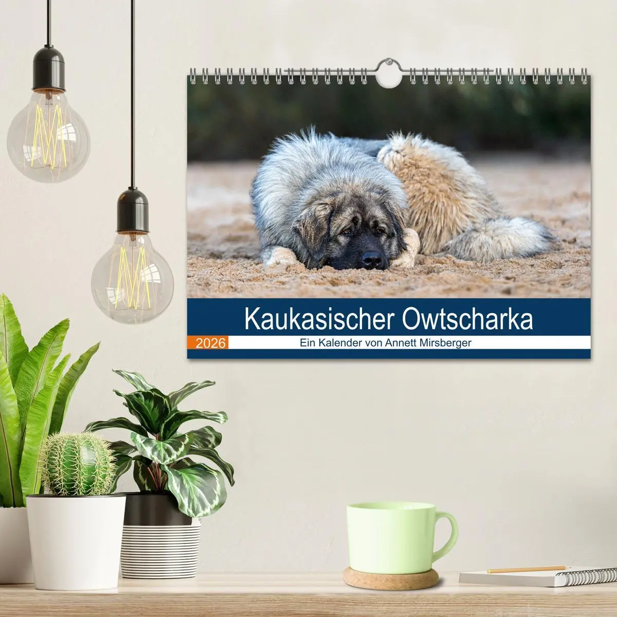 Bild: 9783457631423 | Kaukasischer Owtscharka (Wandkalender 2026 DIN A4 quer), CALVENDO...