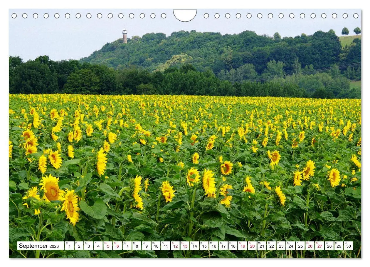 Bild: 9783457861523 | Colditz und Umgebung (Wandkalender 2026 DIN A4 quer), CALVENDO...