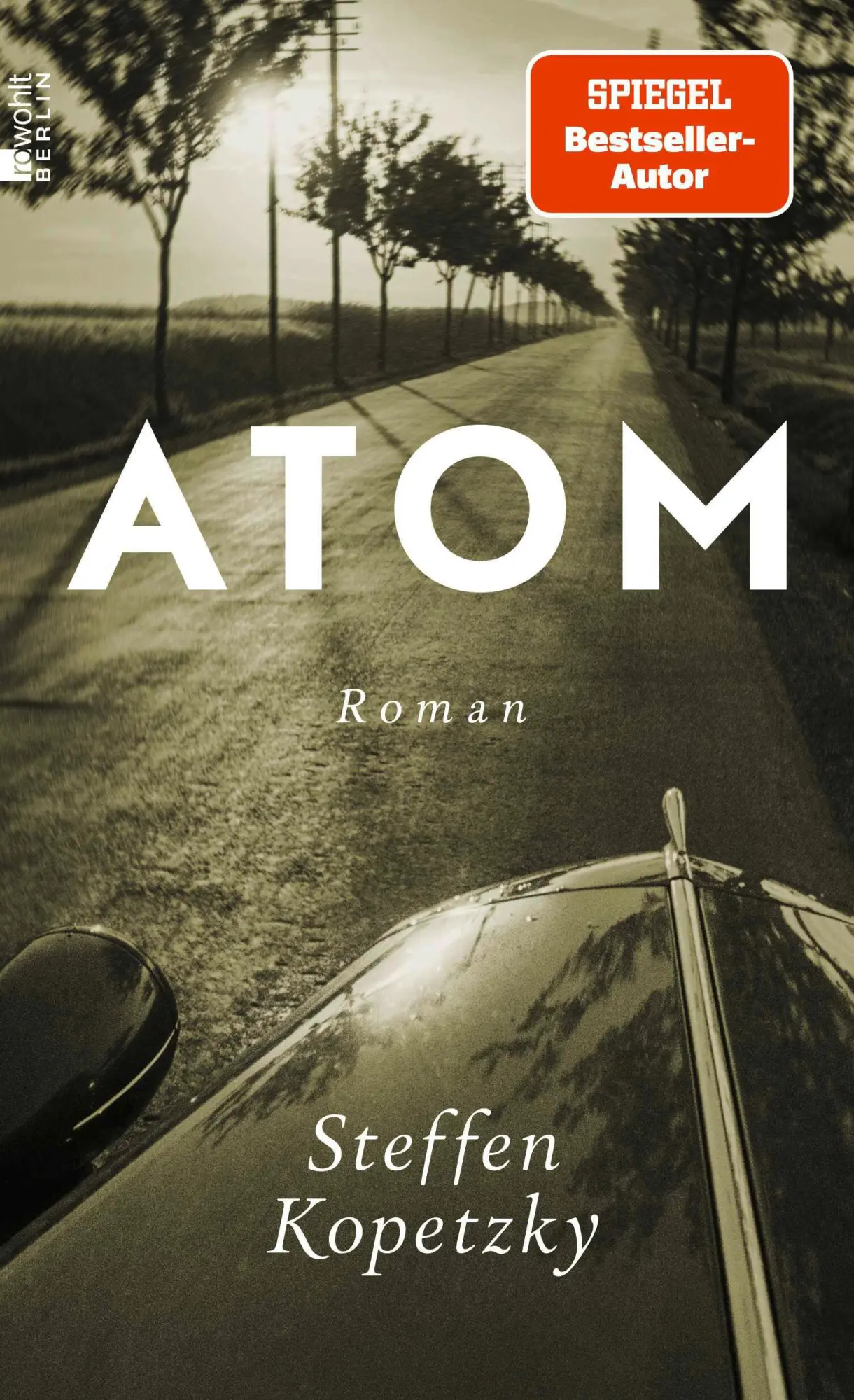 Cover: 9783737101523 | Atom | Steffen Kopetzky | Buch | 416 S. | Deutsch | 2025
