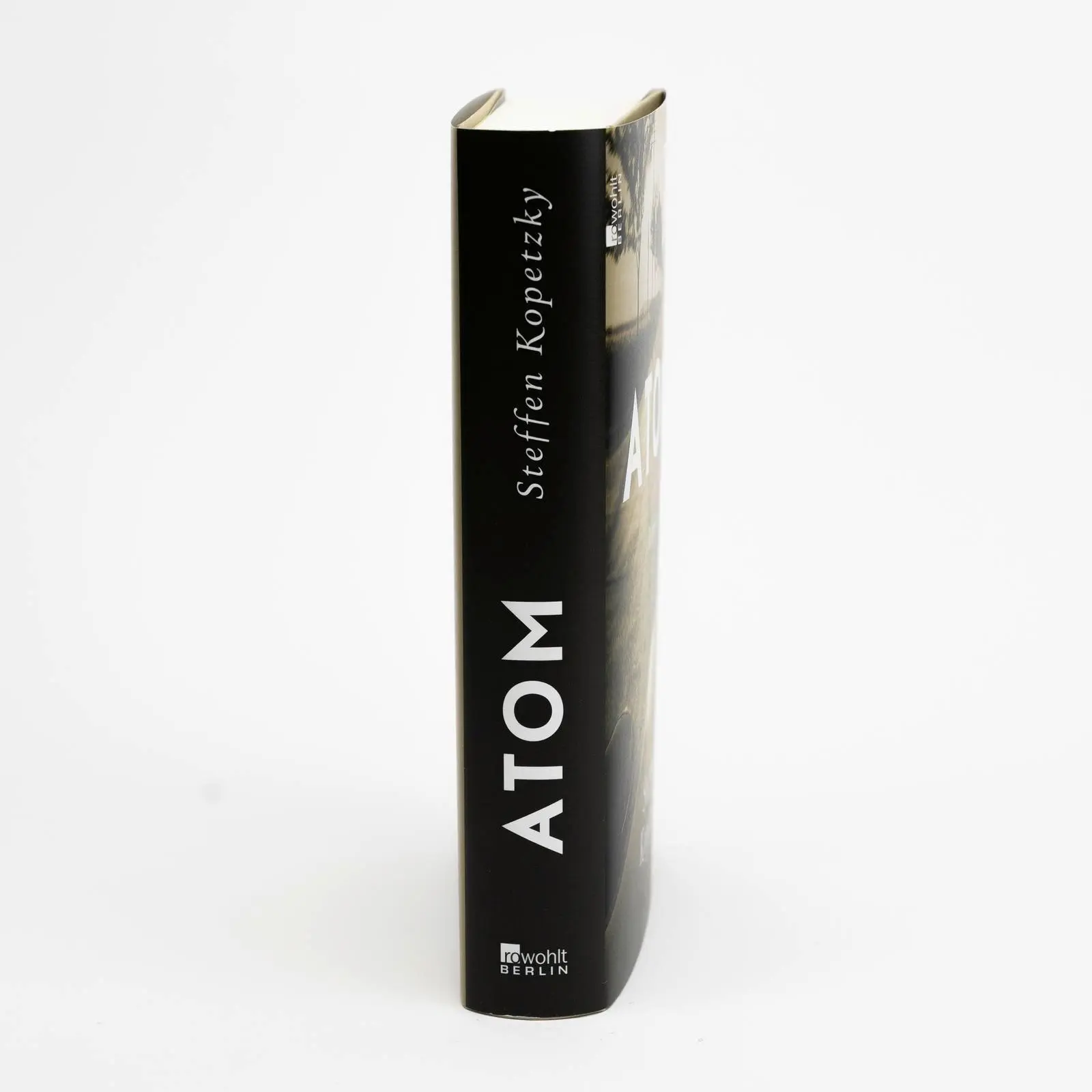 Bild: 9783737101523 | Atom | Steffen Kopetzky | Buch | 416 S. | Deutsch | 2025