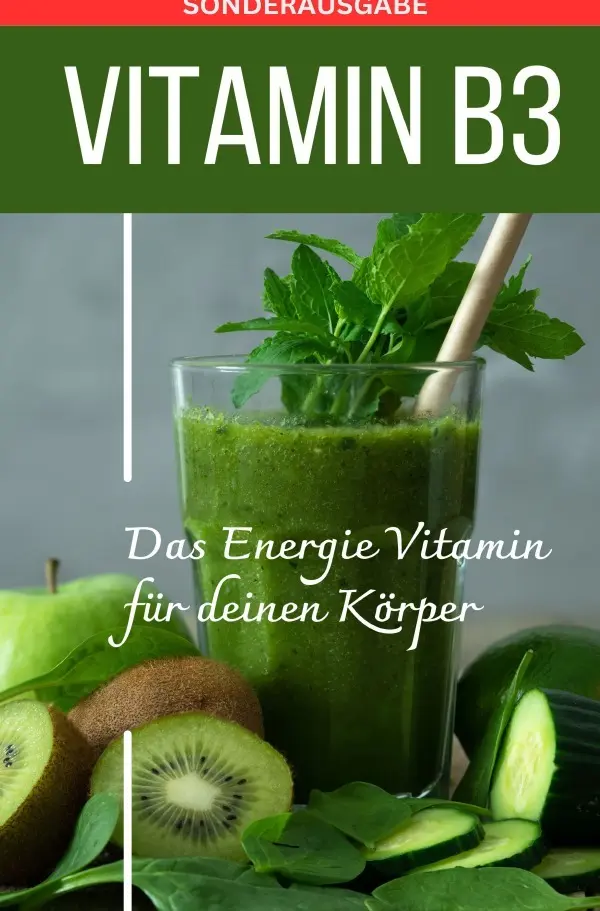 Cover: 9783759811523 | VITAMIN B3 Das Energie Vitamin für deinen Körper - Das verkannte...