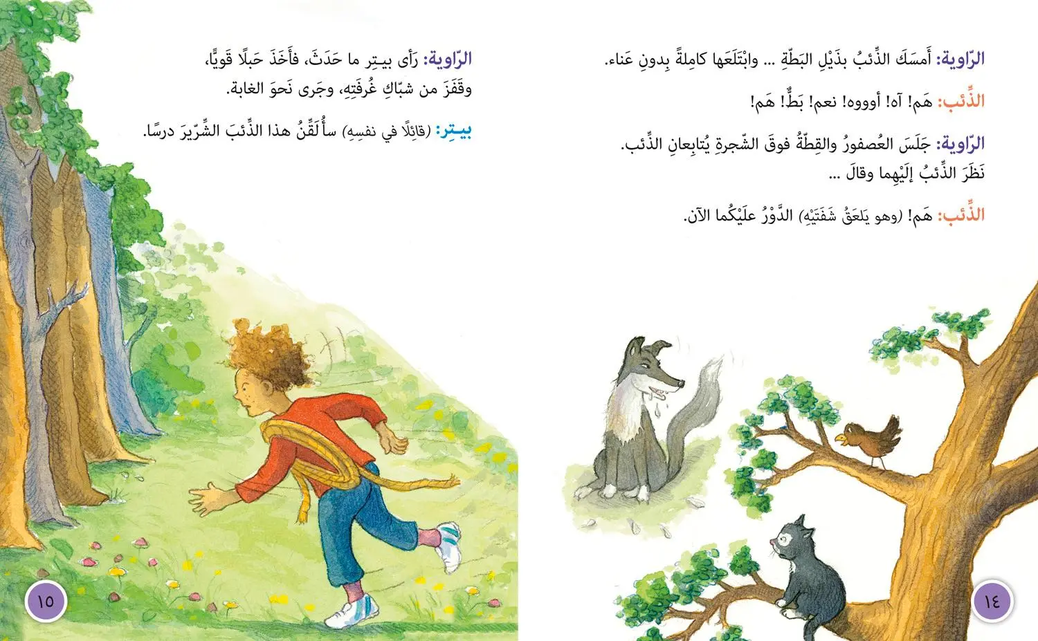 Bild: 9780008131623 | Peter and the Wolf | Level 12 | Diane Redmond | Taschenbuch | Arabisch