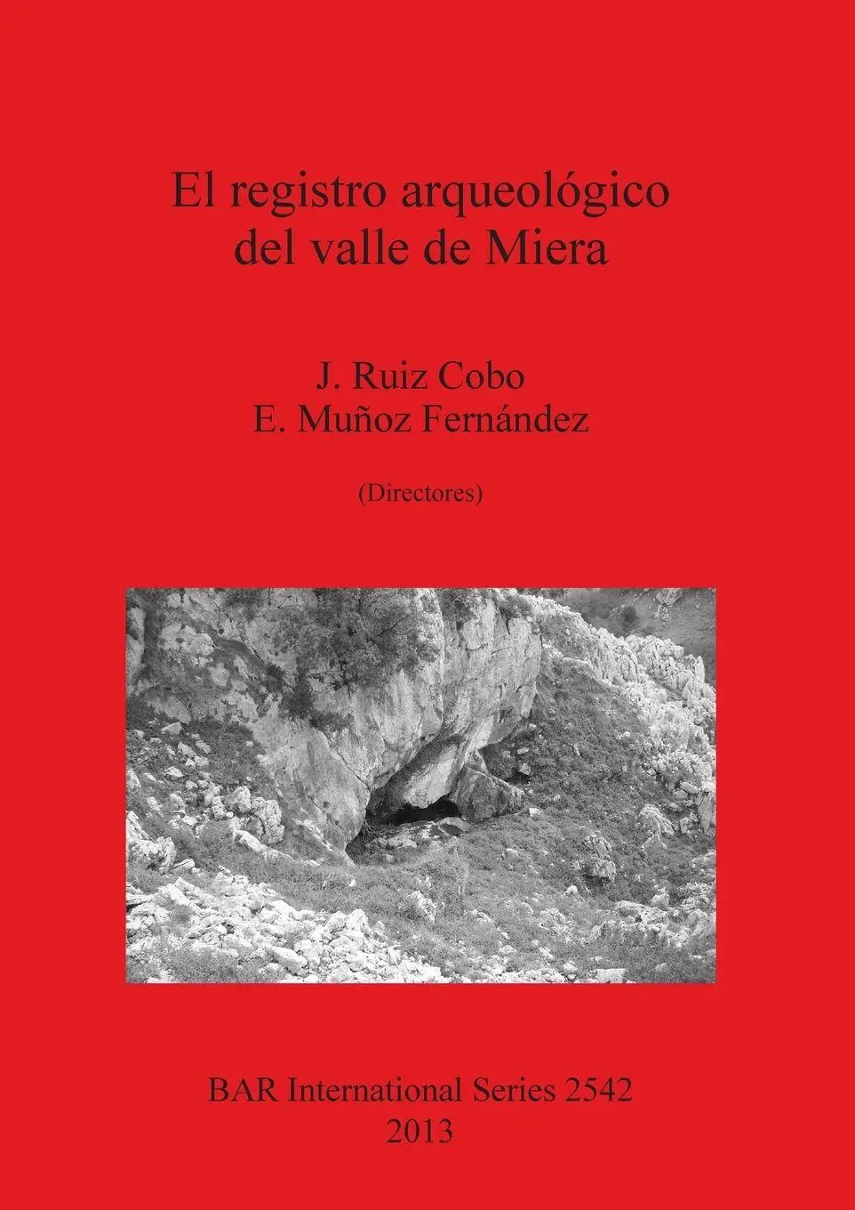Cover: 9781407311623 | El registro arqueológico del valle de Miera | J. Ruiz Cobo (u. a.)