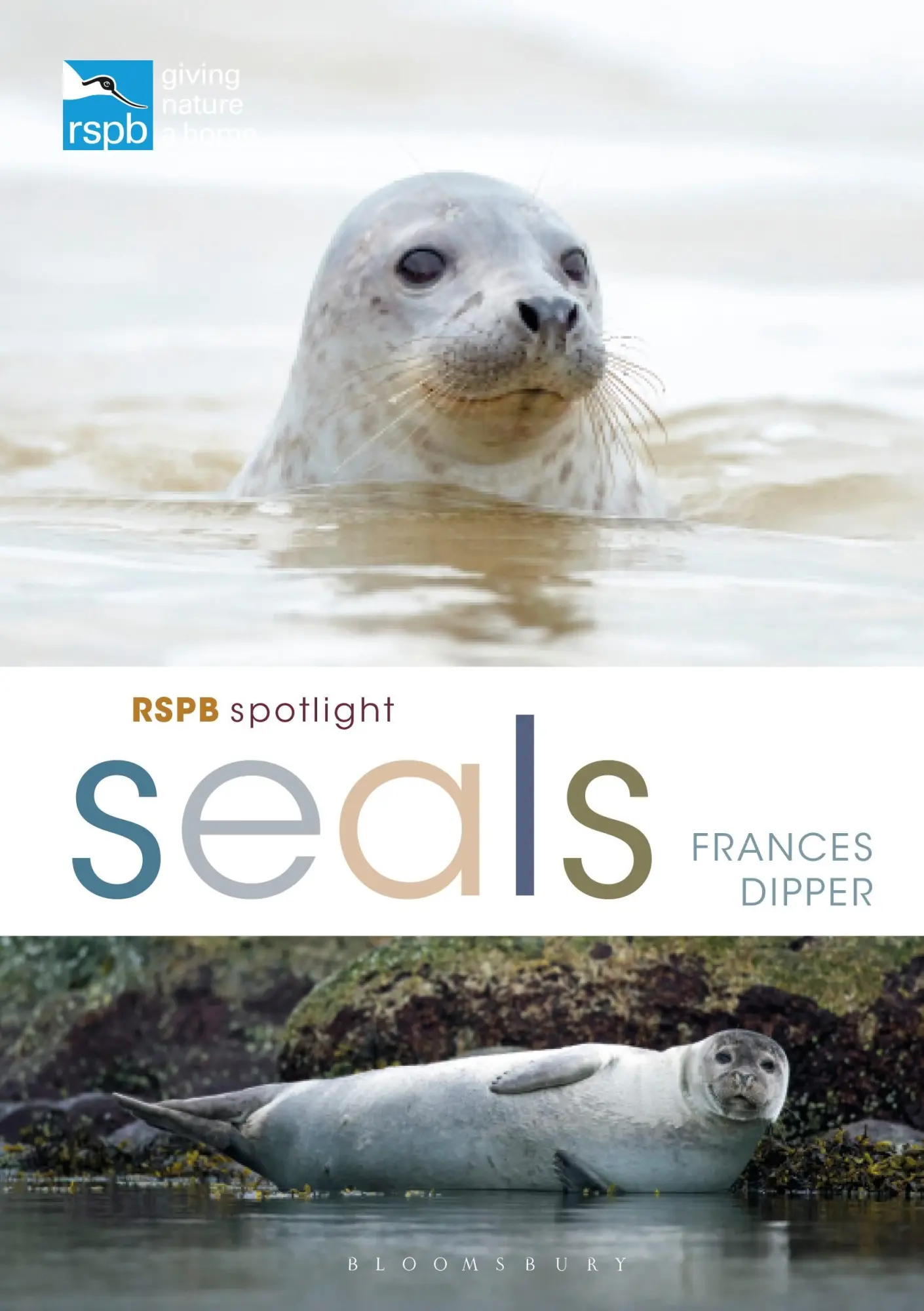 Cover: 9781472971623 | RSPB Spotlight Seals | Frances Dipper | Taschenbuch | Englisch | 2021
