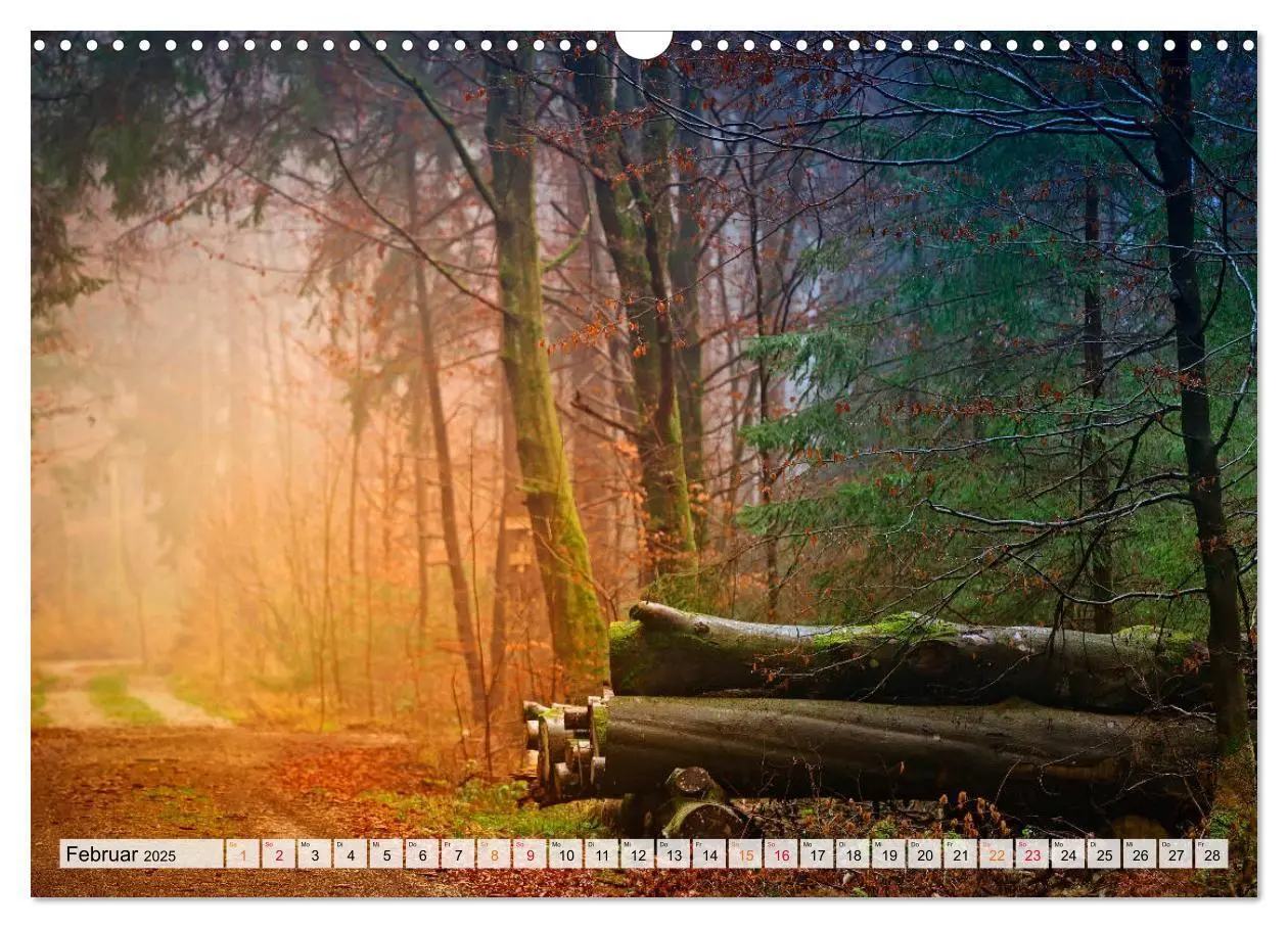Bild: 9783435071623 | Wald - mystische Spaziergänge (Wandkalender 2025 DIN A3 quer),...