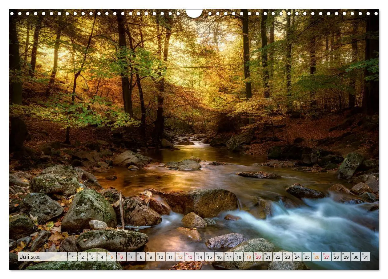 Bild: 9783435071623 | Wald - mystische Spaziergänge (Wandkalender 2025 DIN A3 quer),...