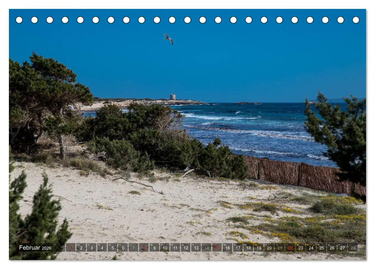 Bild: 9783457921623 | Ibiza Küste, Buchten und Strände (Tischkalender 2026 DIN A5 quer),...