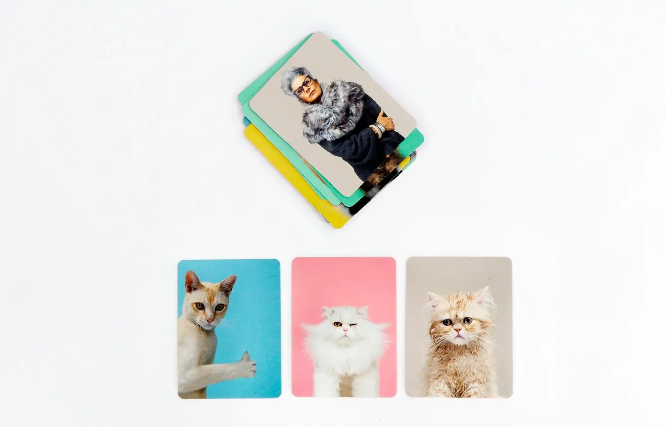 Bild: 9783962441623 | Siehst du aus wie deine Katze ? | Ein Memo-Spiel | Gethings (u. a.)
