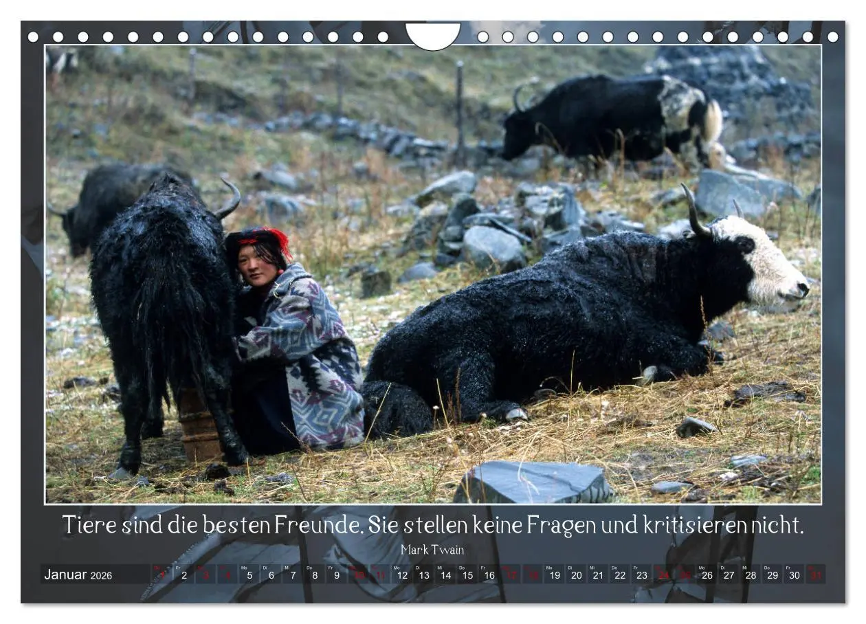 Bild: 9783457831823 | Facettenreiches Tibet (Wandkalender 2026 DIN A4 quer), CALVENDO...