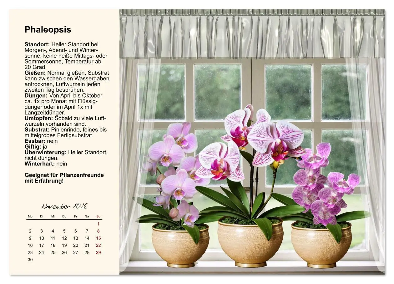 Bild: 9783516611823 | Bestes Raumklima durch Zimmerpflanzen (Wandkalender 2026 DIN A4...