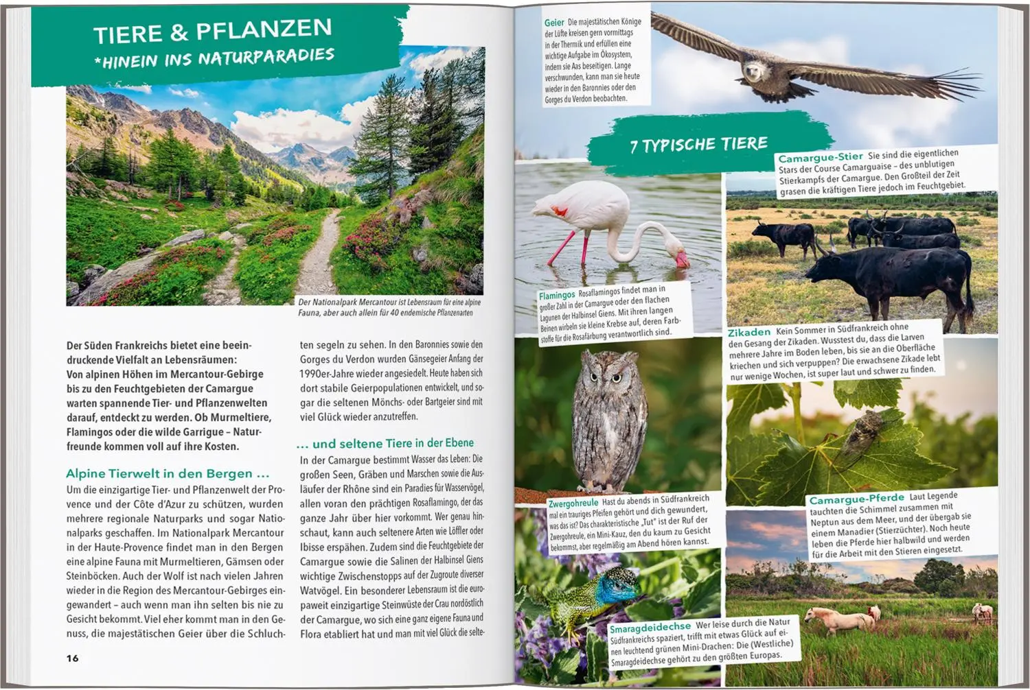 Bild: 9783575021823 | MARCO POLO OUTDOOR GUIDE Reiseführer Provence &amp; Côte d'Azur | Buch