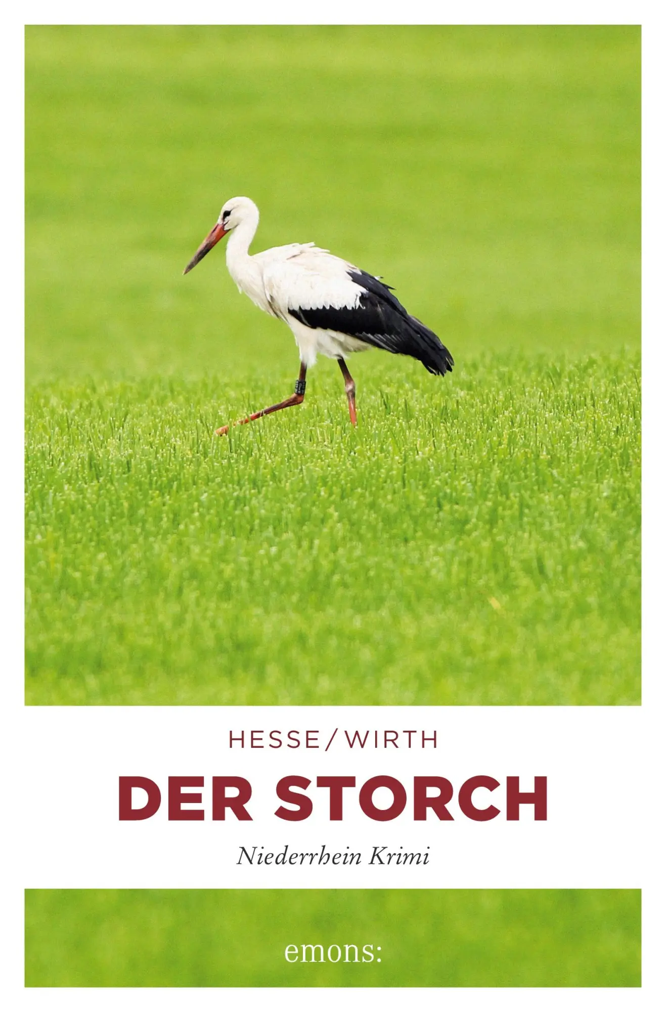 Cover: 9783740801823 | Der Storch | Niederrhein Krimi | ThomasWirth Hesse | Taschenbuch