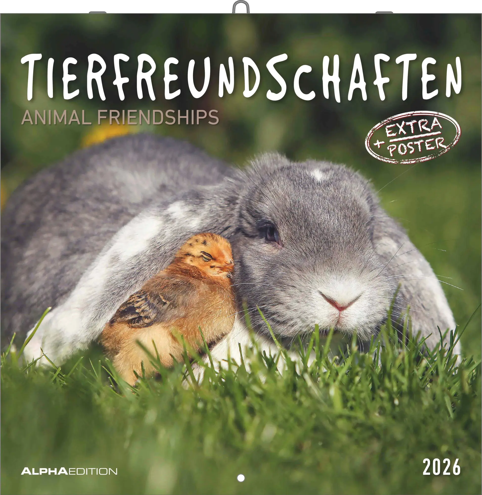 Cover: 4069095001923 | Tierfreundschaften 2026 - Broschürenkalender 30x30 cm (30x60...