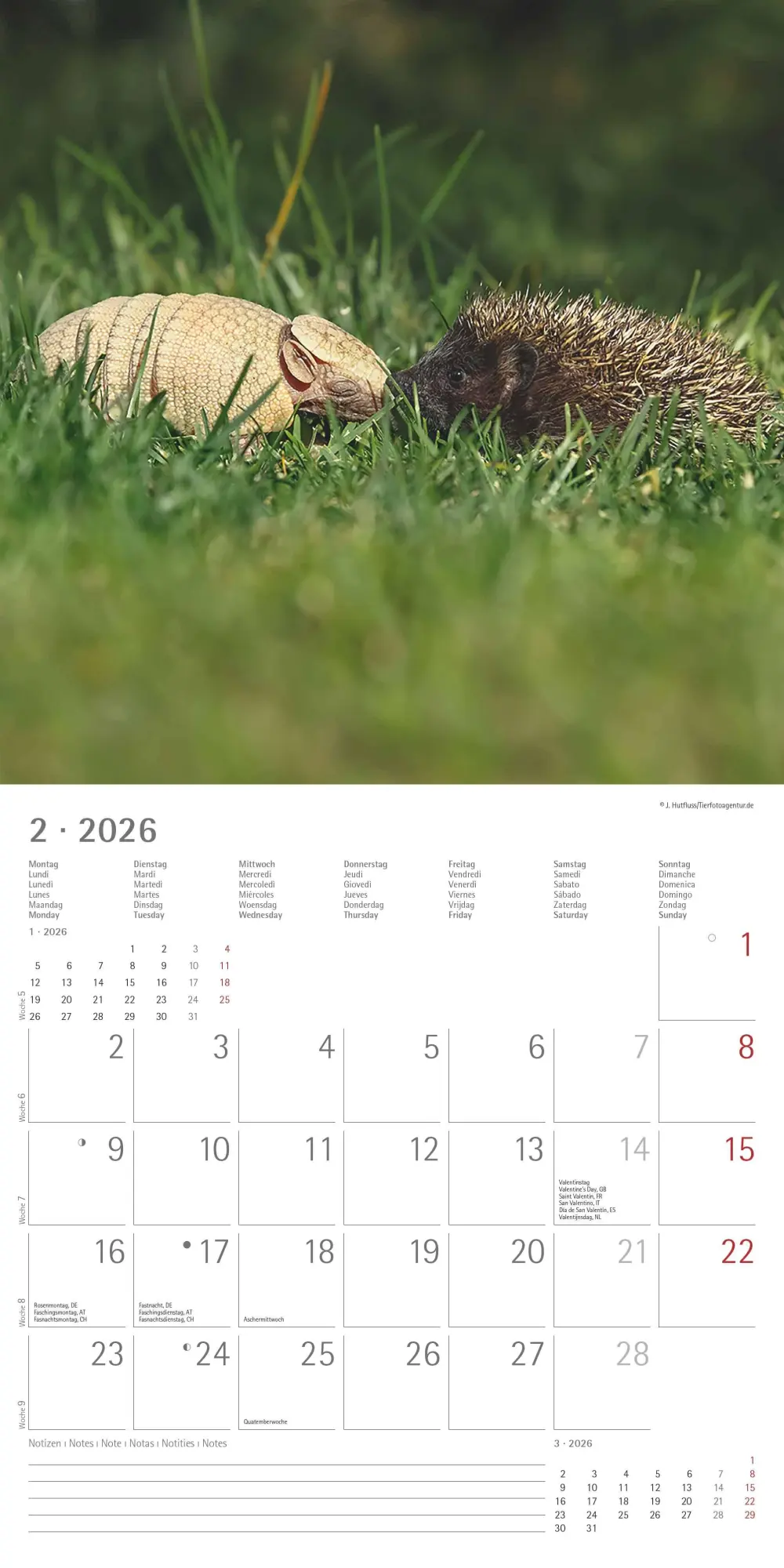 Bild: 4069095001923 | Tierfreundschaften 2026 - Broschürenkalender 30x30 cm (30x60...