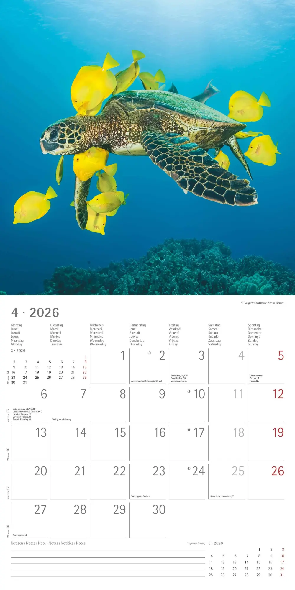 Bild: 4069095001923 | Tierfreundschaften 2026 - Broschürenkalender 30x30 cm (30x60...