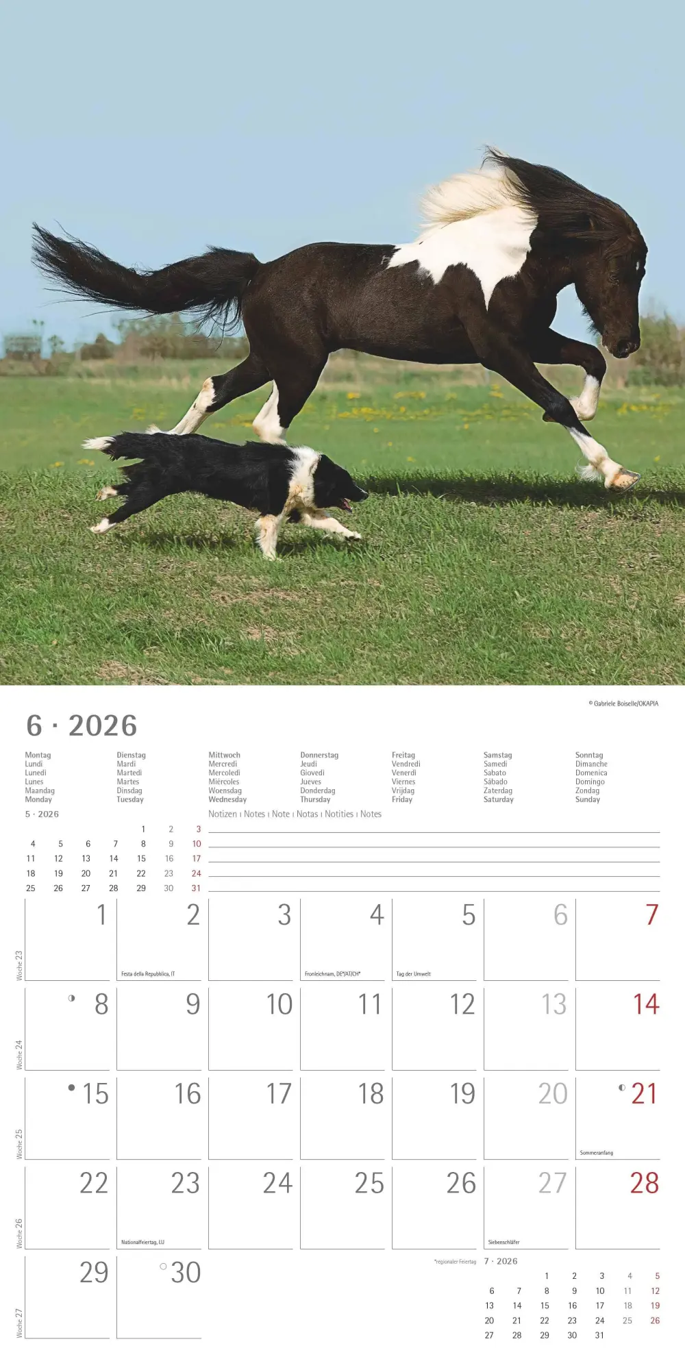 Bild: 4069095001923 | Tierfreundschaften 2026 - Broschürenkalender 30x30 cm (30x60...
