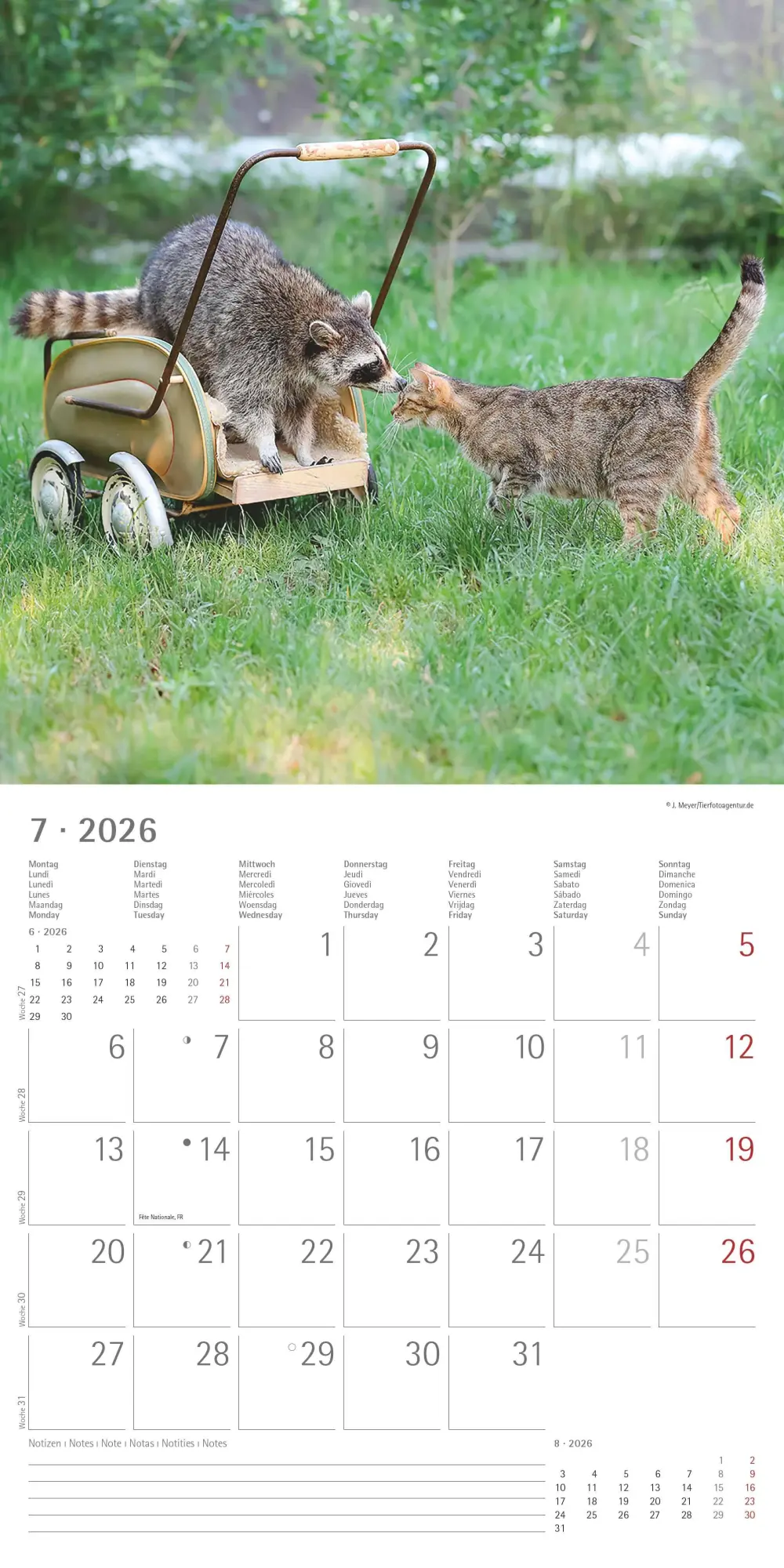 Bild: 4069095001923 | Tierfreundschaften 2026 - Broschürenkalender 30x30 cm (30x60...
