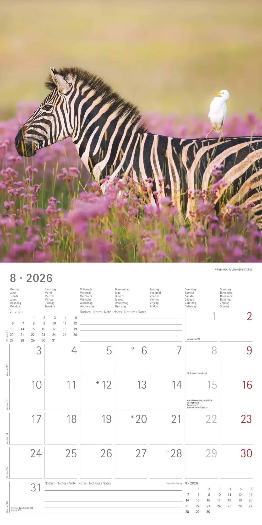 Bild: 4069095001923 | Tierfreundschaften 2026 - Broschürenkalender 30x30 cm (30x60...
