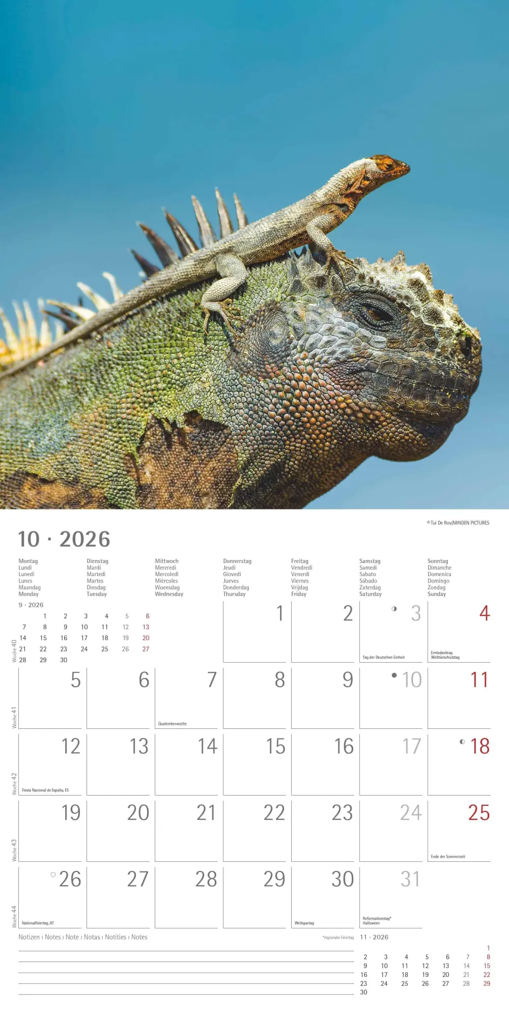 Bild: 4069095001923 | Tierfreundschaften 2026 - Broschürenkalender 30x30 cm (30x60...