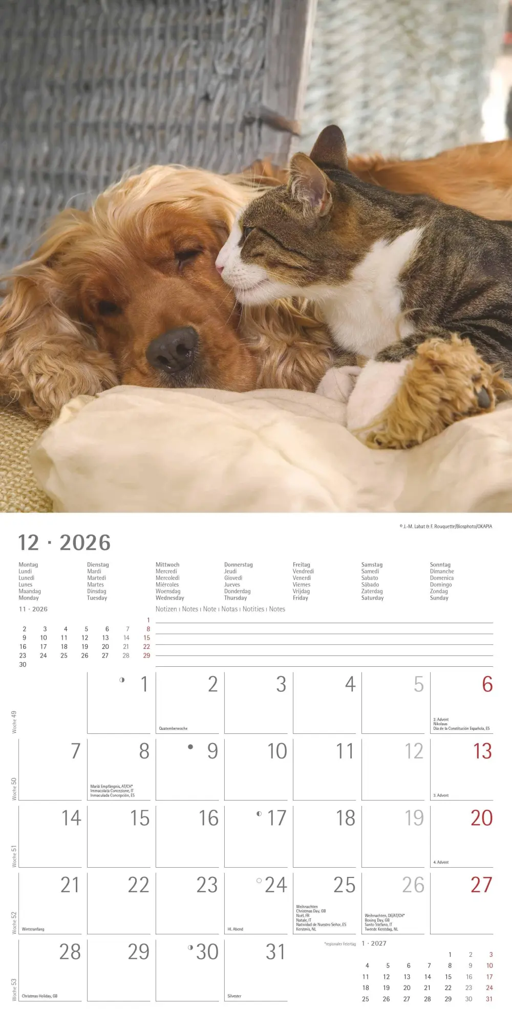 Bild: 4069095001923 | Tierfreundschaften 2026 - Broschürenkalender 30x30 cm (30x60...