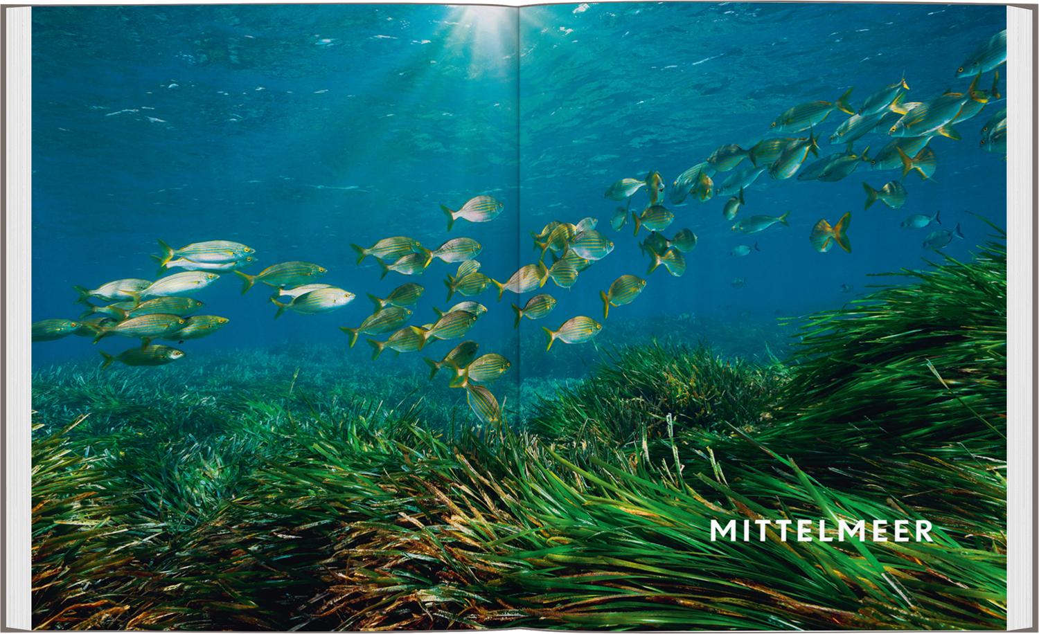 Bild: 9783575011923 | Legendäre Tauchabenteuer | Planet Lonely | Buch | 264 S. | Deutsch