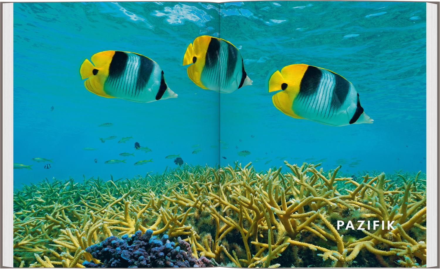 Bild: 9783575011923 | Legendäre Tauchabenteuer | Planet Lonely | Buch | 264 S. | Deutsch