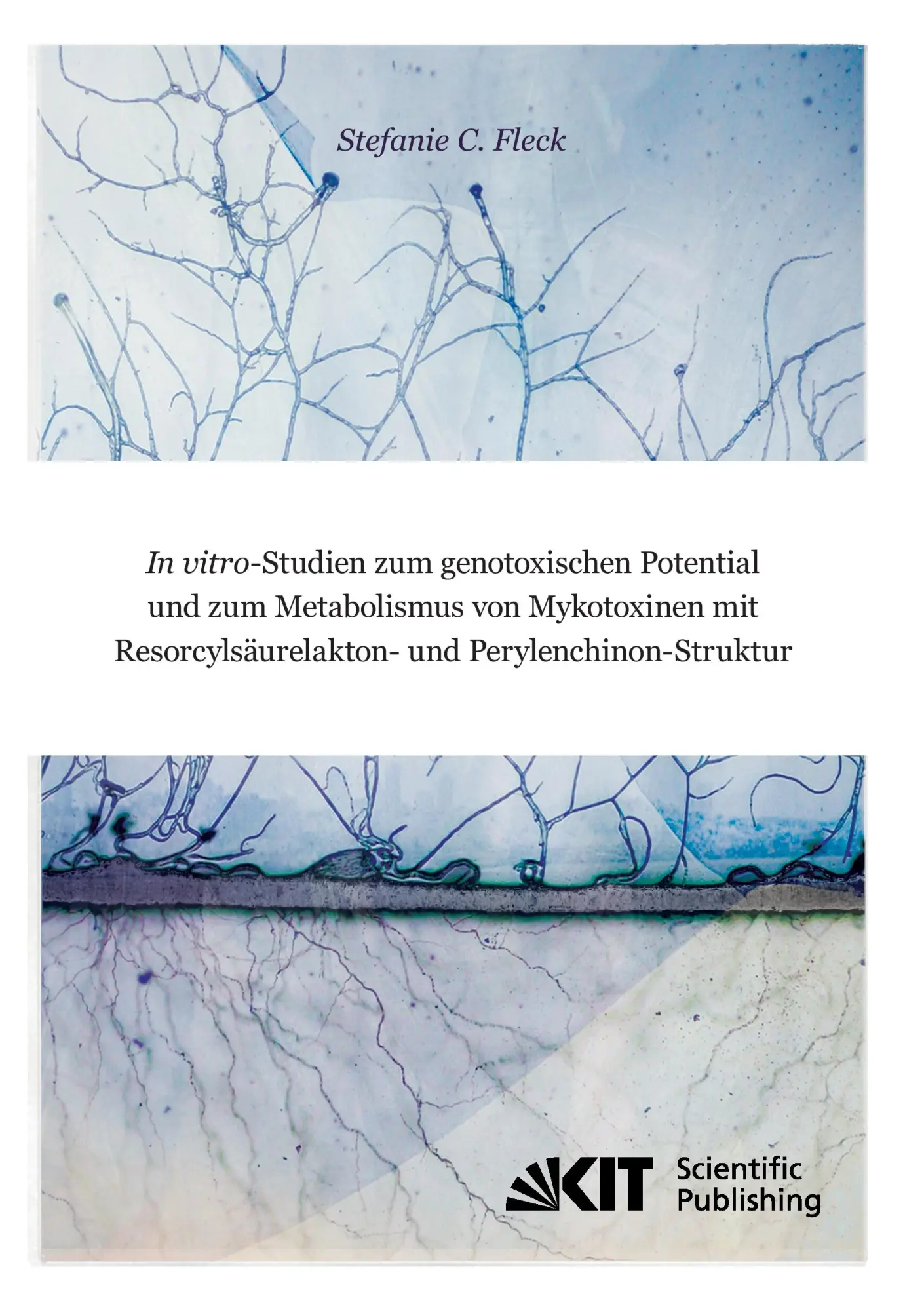 In vitro-Studien zum genotoxischen Potential und zum Metabolismus von Mykotoxinen mit Resorcylsäurelakton- und Perylenchinon-Struktur - Stefanie Christina Fleck Kartoniert (TB)