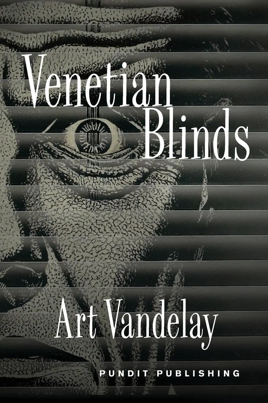 Cover: 9781304142023 | Venetian Blinds | Art Vandelay | Taschenbuch | Englisch | 2024