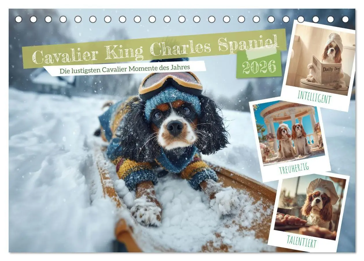 Cover: 9783516732023 | Cavalier King Charles Spaniel. Die lustigsten Cavalier Momente des...