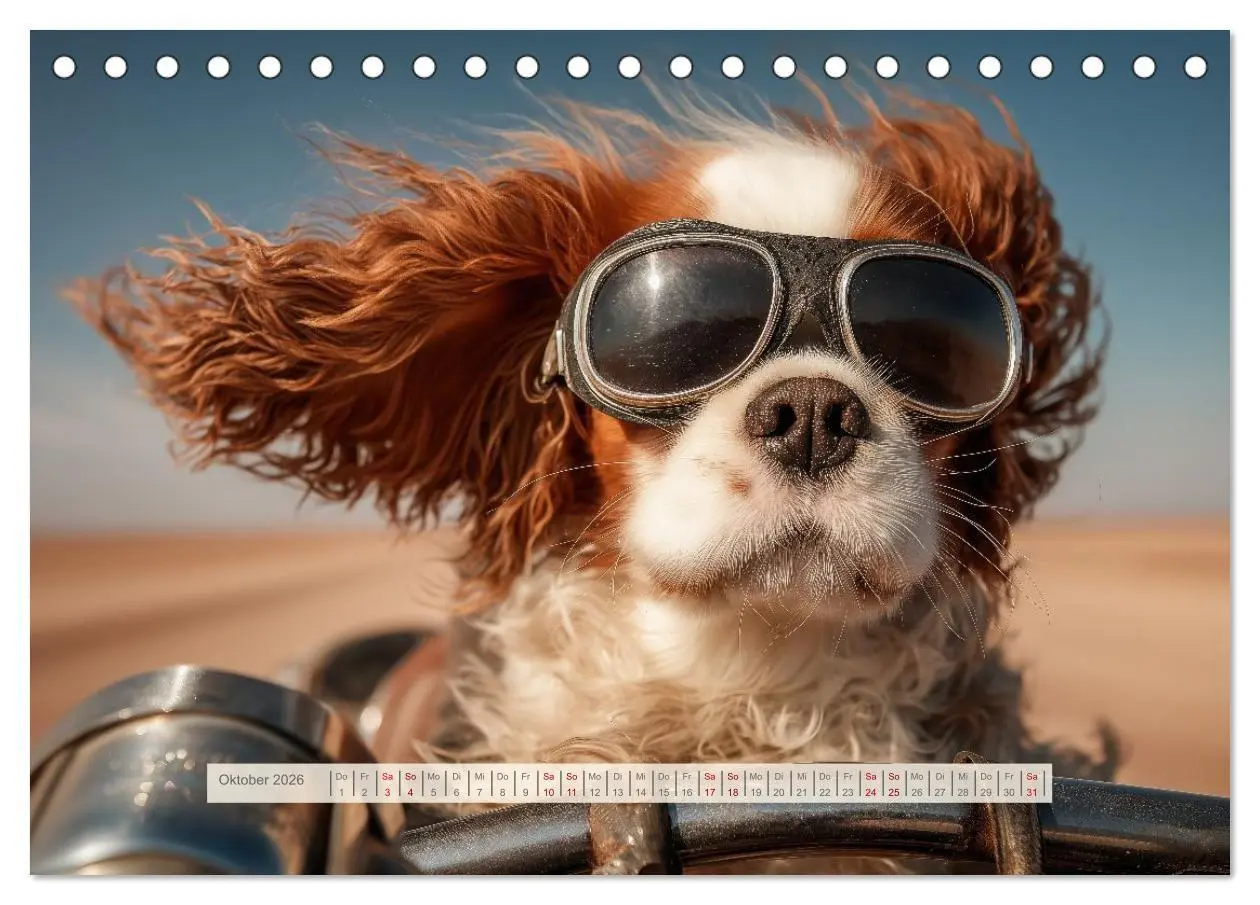 Bild: 9783516732023 | Cavalier King Charles Spaniel. Die lustigsten Cavalier Momente des...