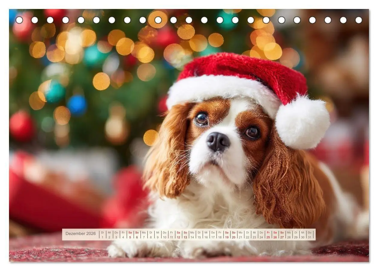 Bild: 9783516732023 | Cavalier King Charles Spaniel. Die lustigsten Cavalier Momente des...