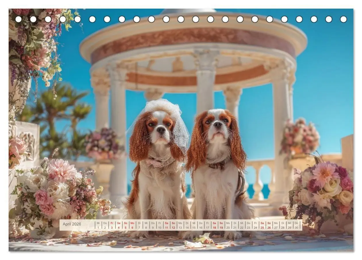 Bild: 9783516732023 | Cavalier King Charles Spaniel. Die lustigsten Cavalier Momente des...