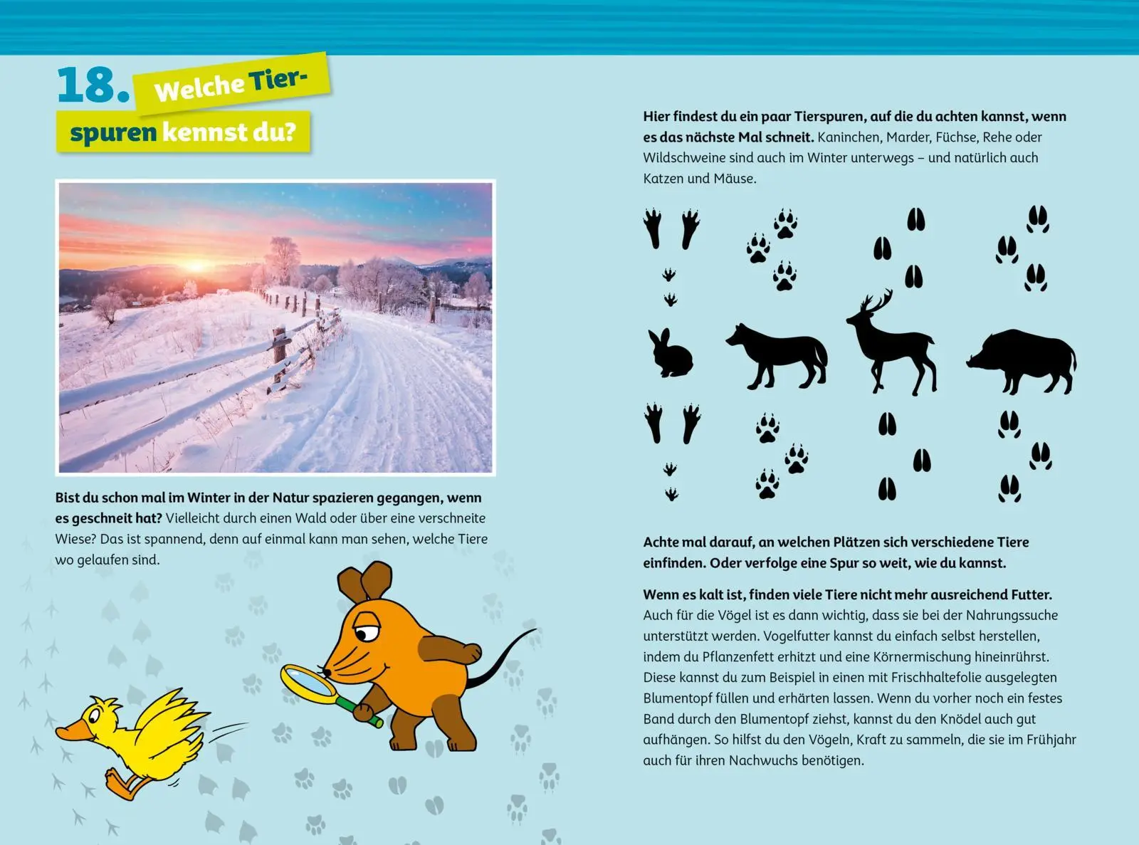 Bild: 9783830322023 | Frag doch mal ... die Maus: Der Adventskalender 2025 | Buch | 112 S.