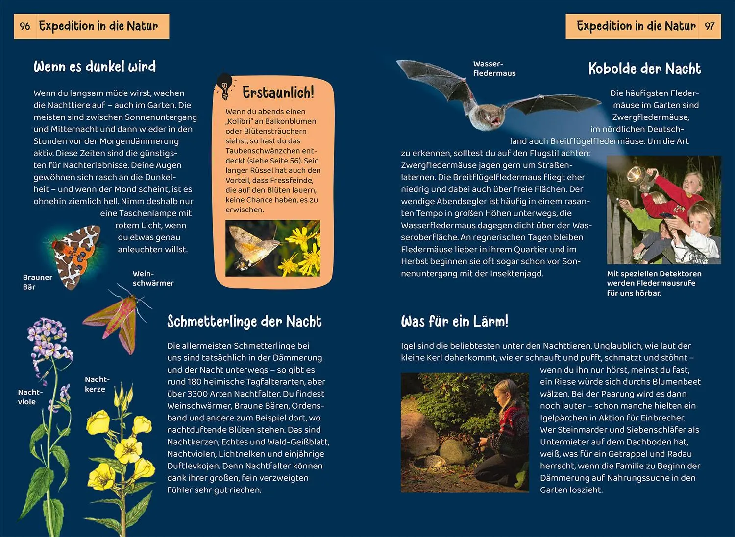 Bild: 9783440182123 | Was lebt im Garten? Kindernaturführer | Bärbel Oftring | Taschenbuch