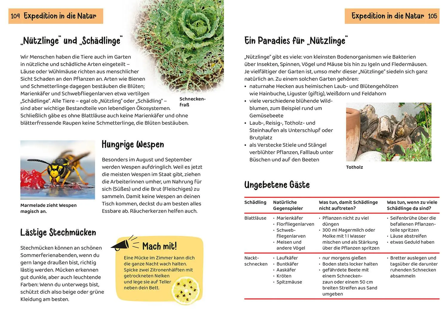 Bild: 9783440182123 | Was lebt im Garten? Kindernaturführer | Bärbel Oftring | Taschenbuch
