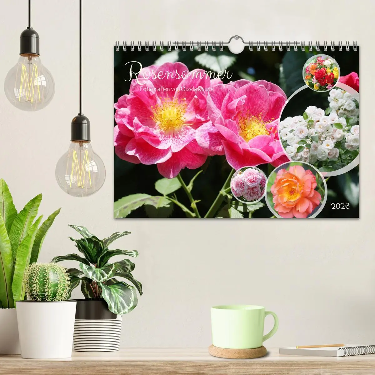 Bild: 9783457322123 | Rosensommer (Wandkalender 2026 DIN A4 quer), CALVENDO Monatskalender