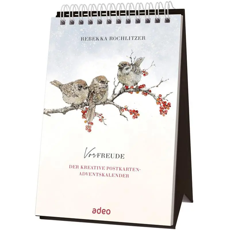 Cover: 4250454742223 | VorFreude - Adventskalender | Der kreative Postkarten-Adventskalender