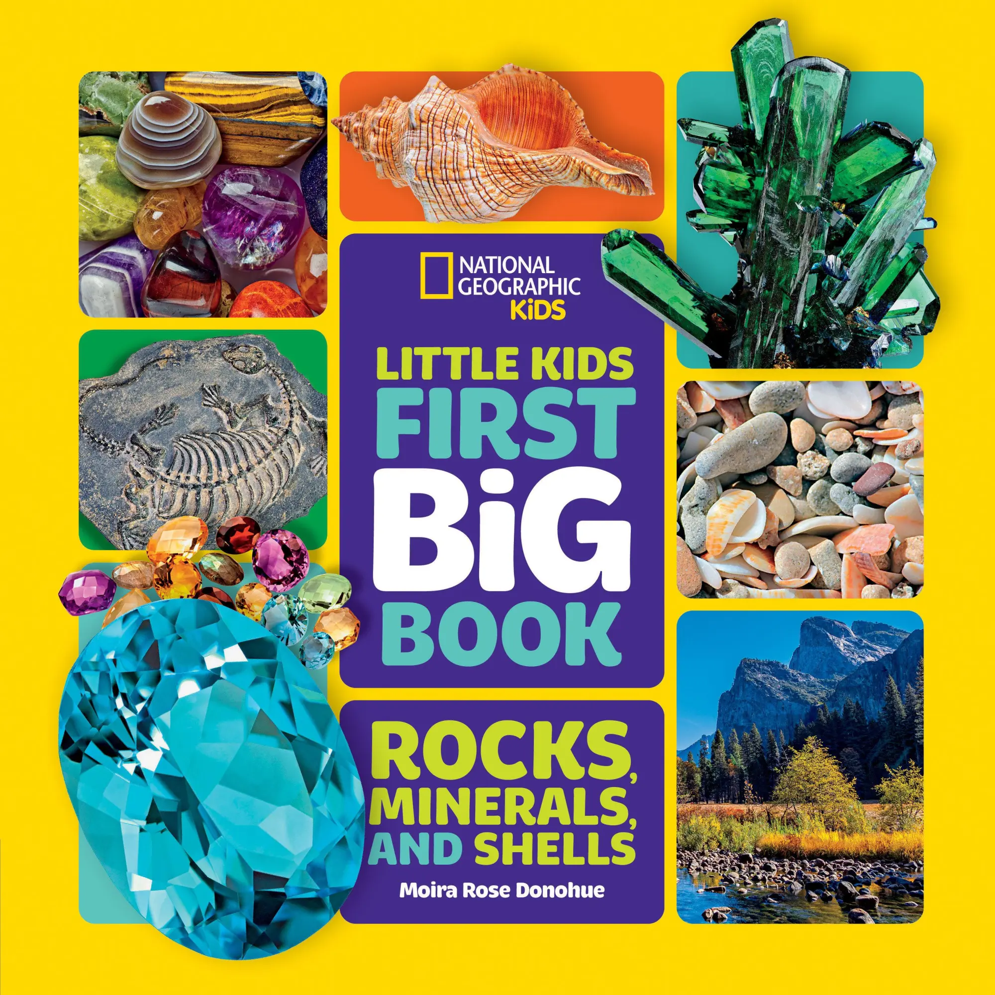 Cover: 9781426372223 | National Geographic Little Kids First Big Book of Rocks, Minerals &amp;...