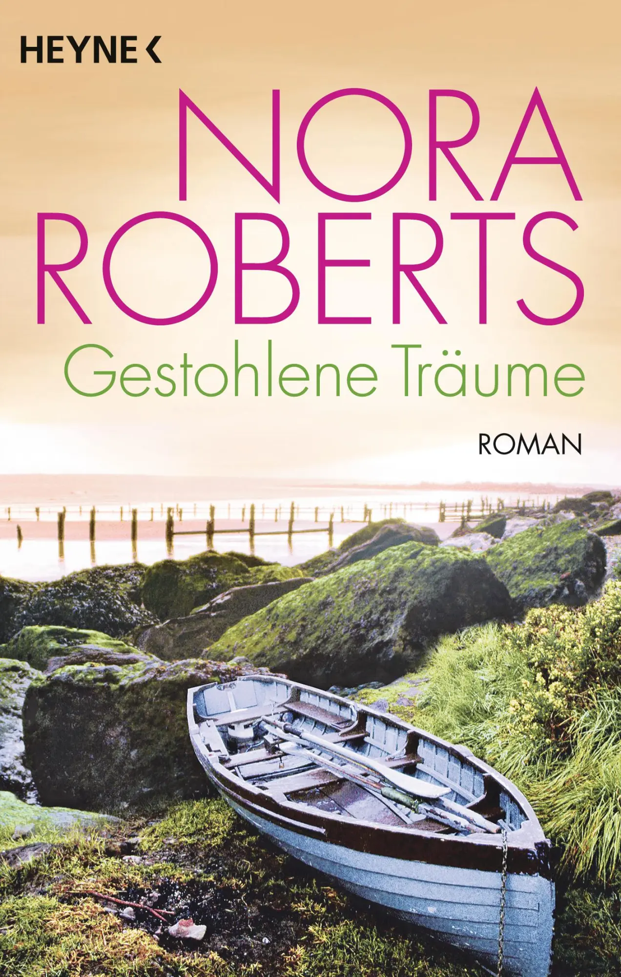 Cover: 9783453422223 | Gestohlene Träume | Nora Roberts | Taschenbuch | 495 S. | Deutsch